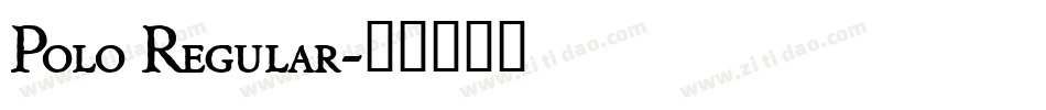 Polo Regular字体转换